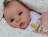 Drew Ann Awake Kit - Donna RuBert