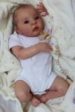 Flossie Awake Kit - Donna Rubert