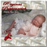 Robin Sleeping Kit - Michelle Fagan