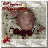 Kaya Sleeping Kit - Eva Helland